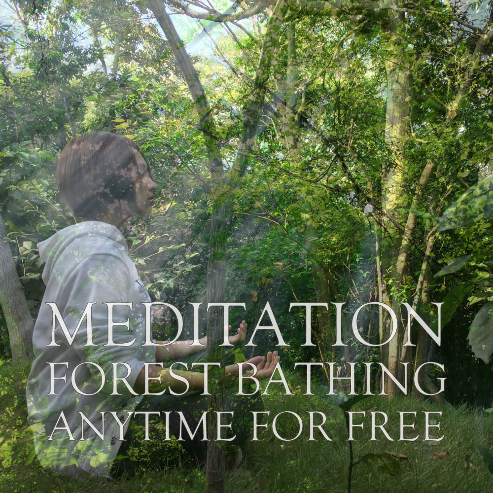 無料の森林浴と瞑想