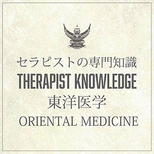 セラピスト専門知識　東洋医学
