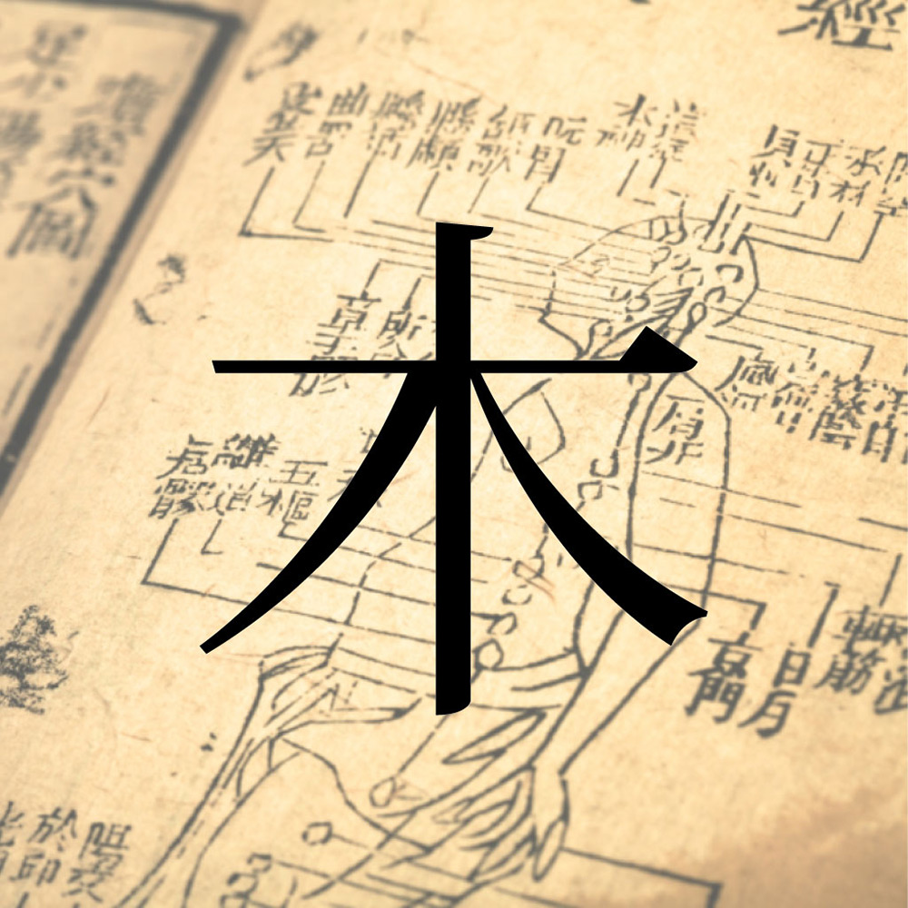 人体惑星試論「木」