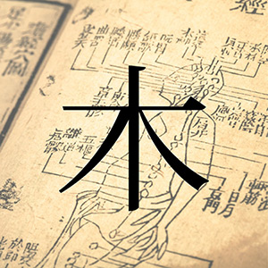 人体惑星試論における『木』