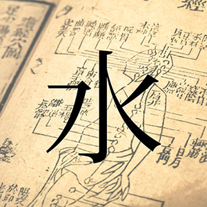 人体惑星試論における『水』