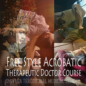 伝統医学治療総合本科コース